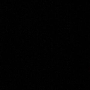 Meet your Posher, Shane